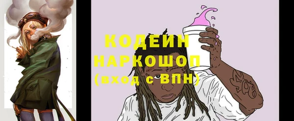 ешки Алзамай